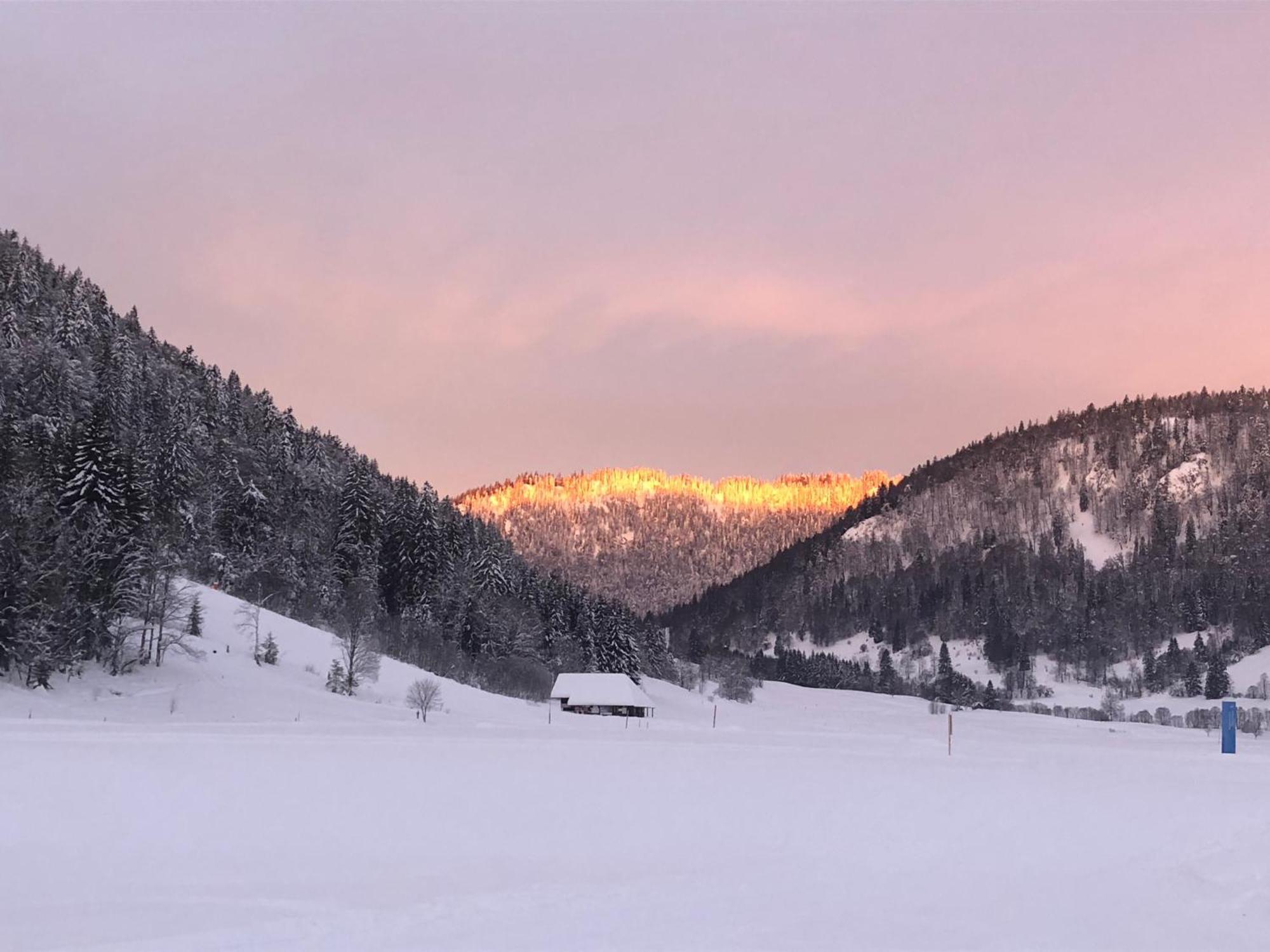Forest Apartment-Mountain Escape Menzenschwand St. Blasien Eksteriør billede