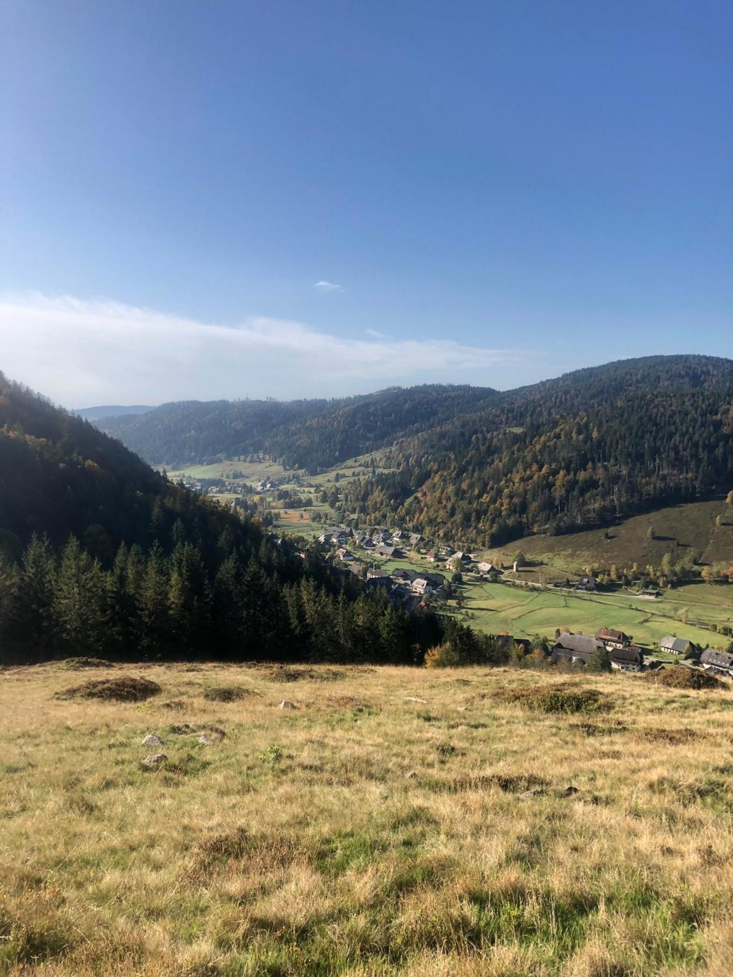 Forest Apartment-Mountain Escape Menzenschwand St. Blasien Eksteriør billede
