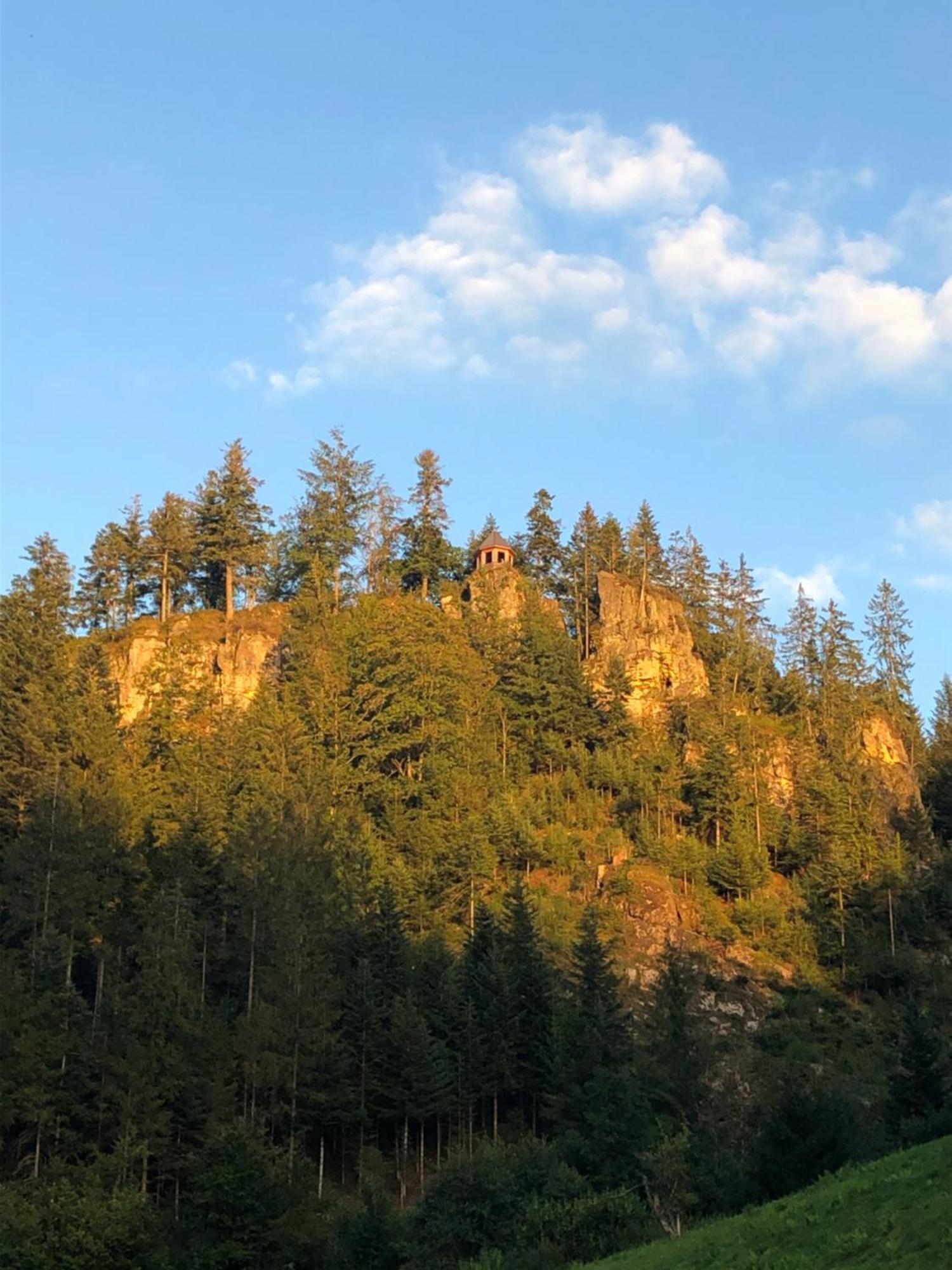 Forest Apartment-Mountain Escape Menzenschwand St. Blasien Eksteriør billede